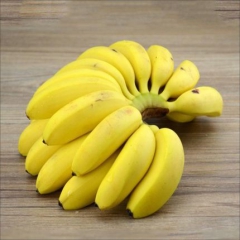 小米焦香蕉 新鲜水果 5斤装 现摘现发软糯香甜